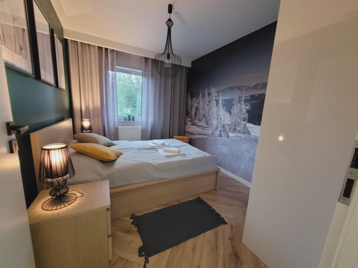 Apartament Wislanskie Skije ภายนอก รูปภาพ