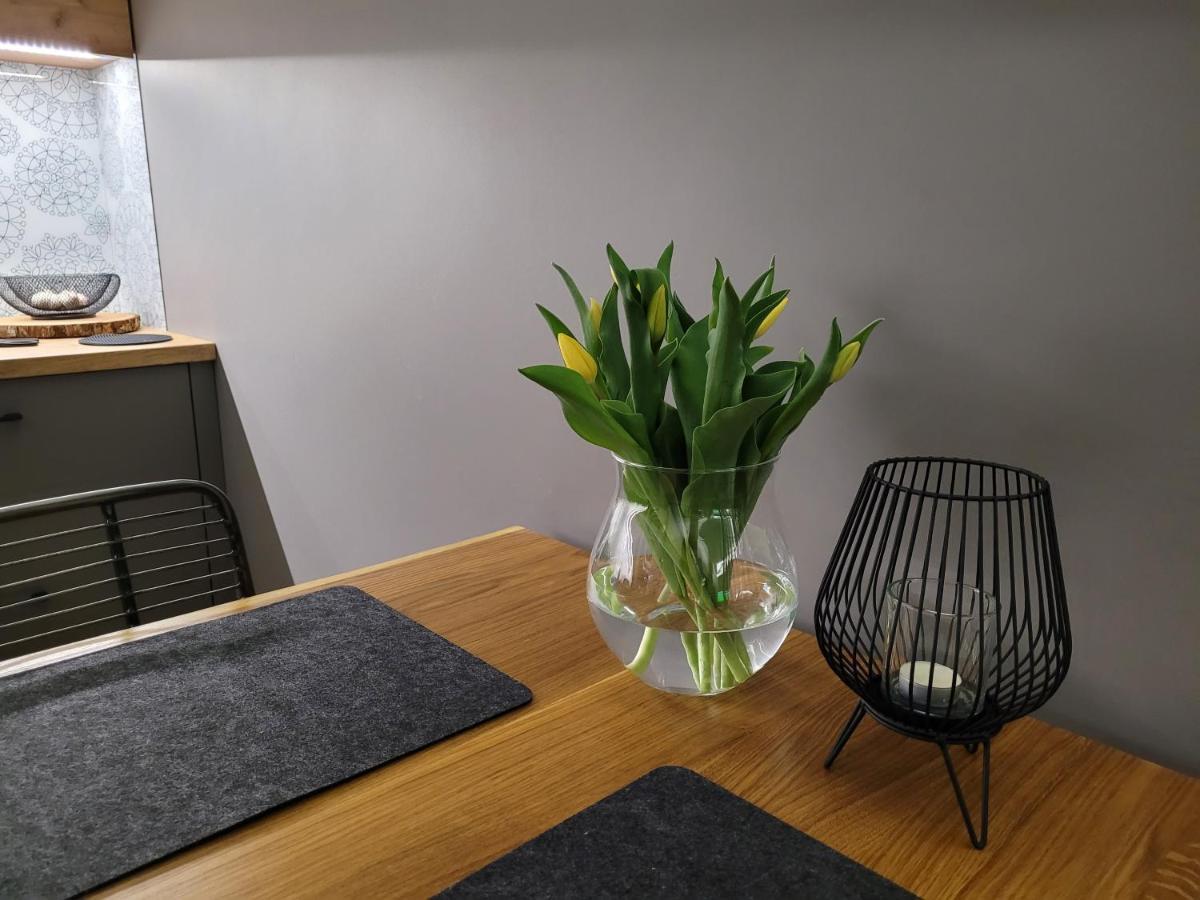 Apartament Wislanskie Skije ภายนอก รูปภาพ
