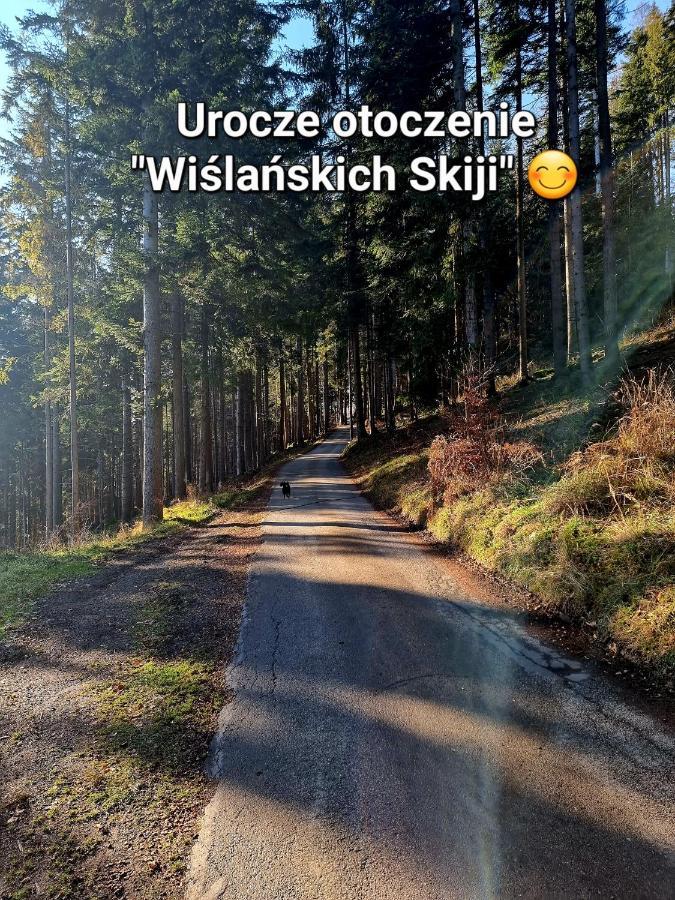 Apartament Wislanskie Skije ภายนอก รูปภาพ